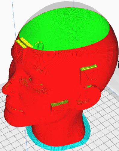 The model of a human head in a print preview.