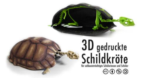 Two 3d printed turtles in natrual color and high-contrast colors.